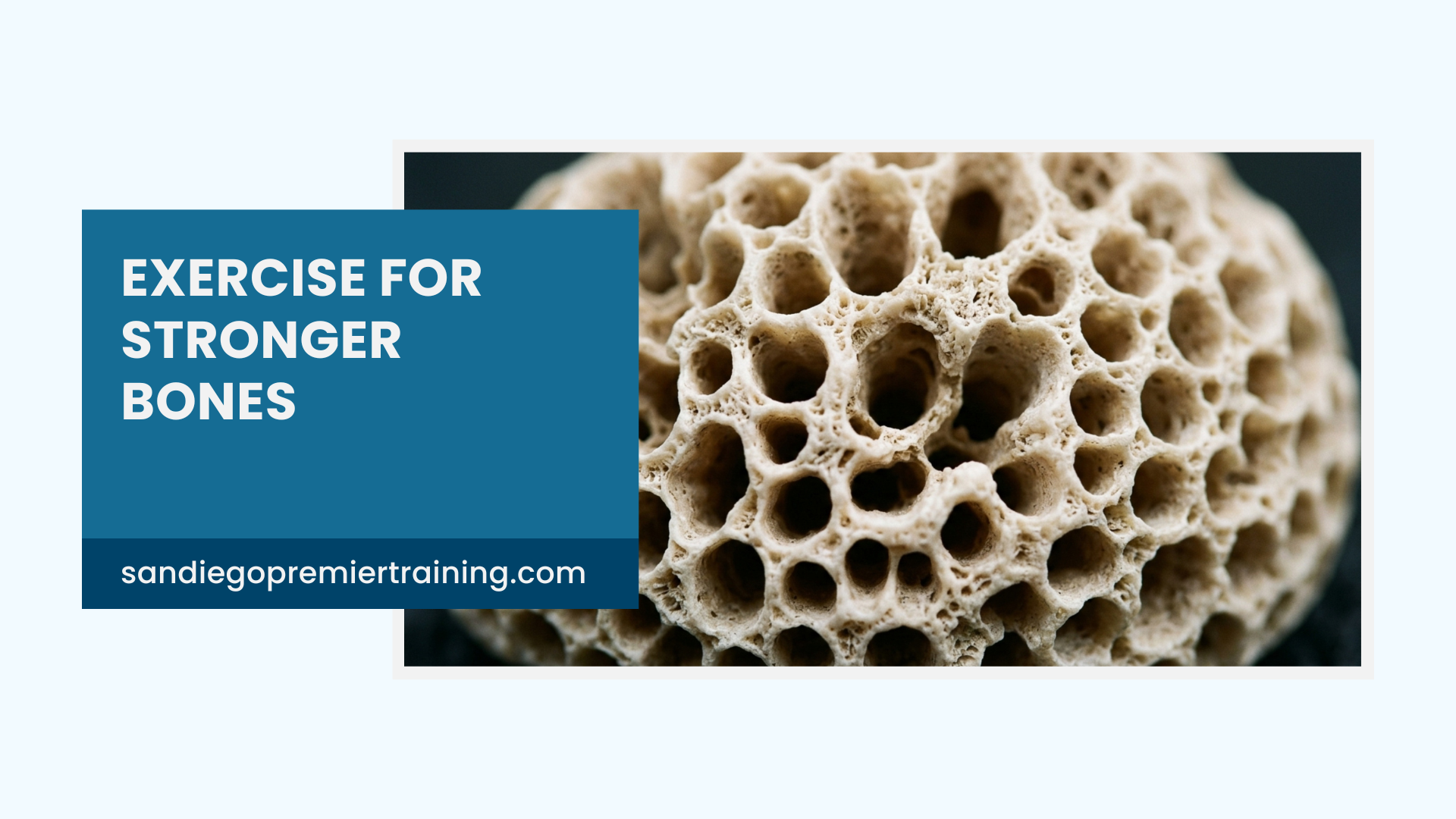 Exercise for Stronger Bones: The Best Workouts for Bone Health