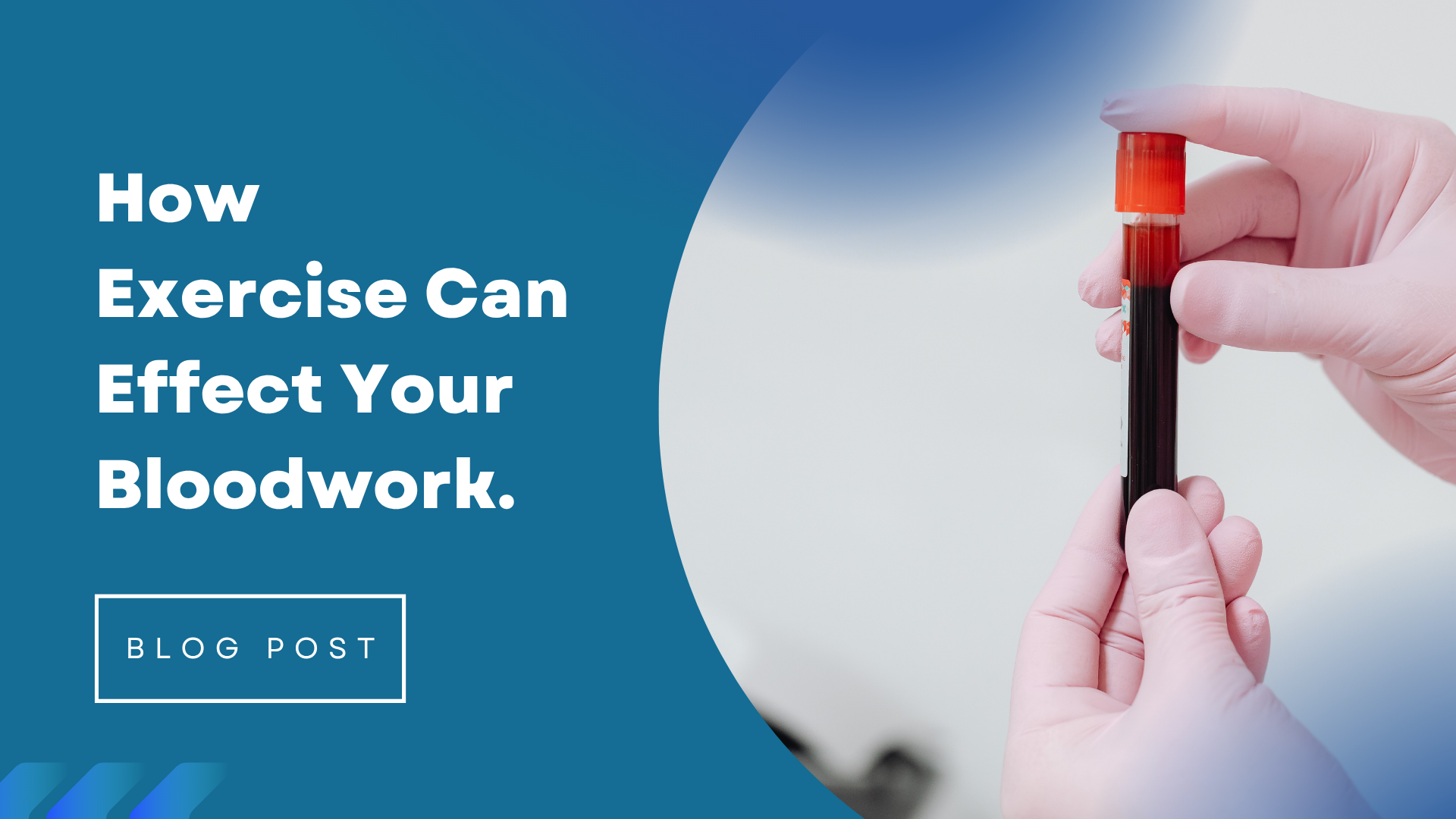 Sdpt How Exercise Can Effect Your Blood Work - SDPT
